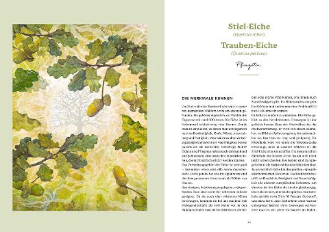 InsideView 4