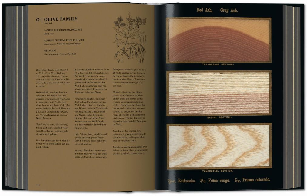 InsideView 4