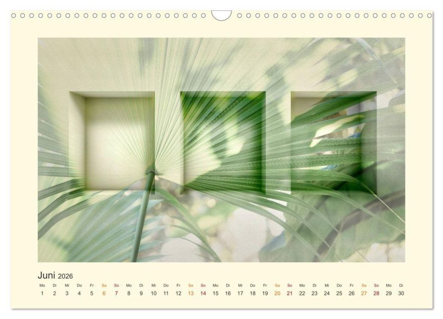 InsideView 11