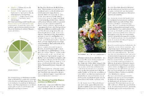 InsideView 2