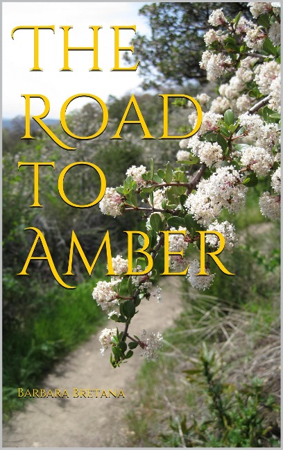The Road to Amber - Barbara Bretana