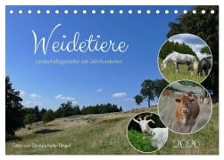 Cover-Bild zum Titel 'Weidetiere - Landschaftsgestalter seit Jahrhunderten (Tischkalender 2026 DIN A5 quer), CALVENDO Monatskalender' von 'Cordula Kelle-Dingel'