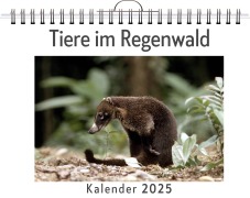 Cover-Bild zum Titel 'Tiere im Regenwald' von 'Ava Werner'