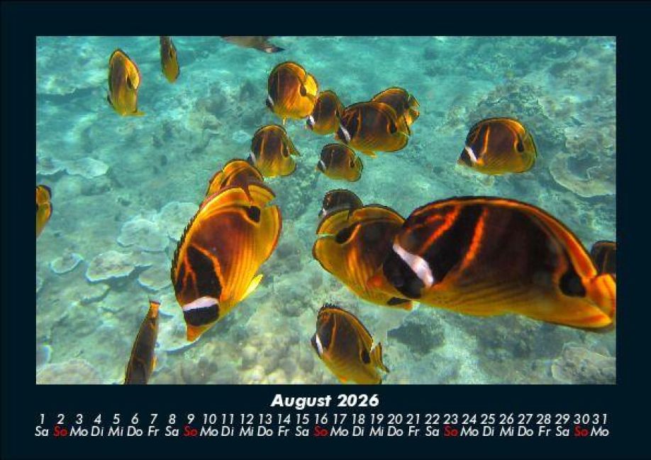 InsideView 12