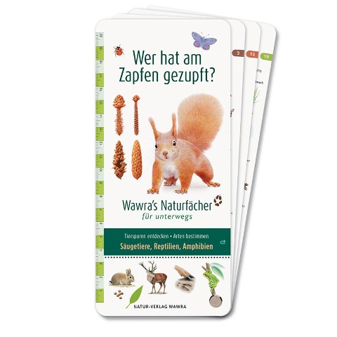 Wer hat am Zapfen gezupft? - Wawra's Naturfächer für unterwegs - Ursula Wawra
