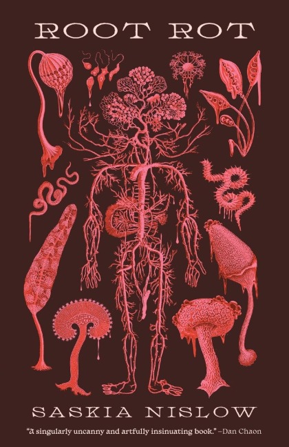 Root Rot - Saskia Nislow