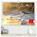 Strandläufer - immer flink unterwegs (hochwertiger Premium Wandkalender 2025 DIN A2 quer), Kunstdruck in Hochglanz - Peter Roder