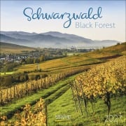 Cover-Bild zum Titel 'Schwarzwald 2027' von ''