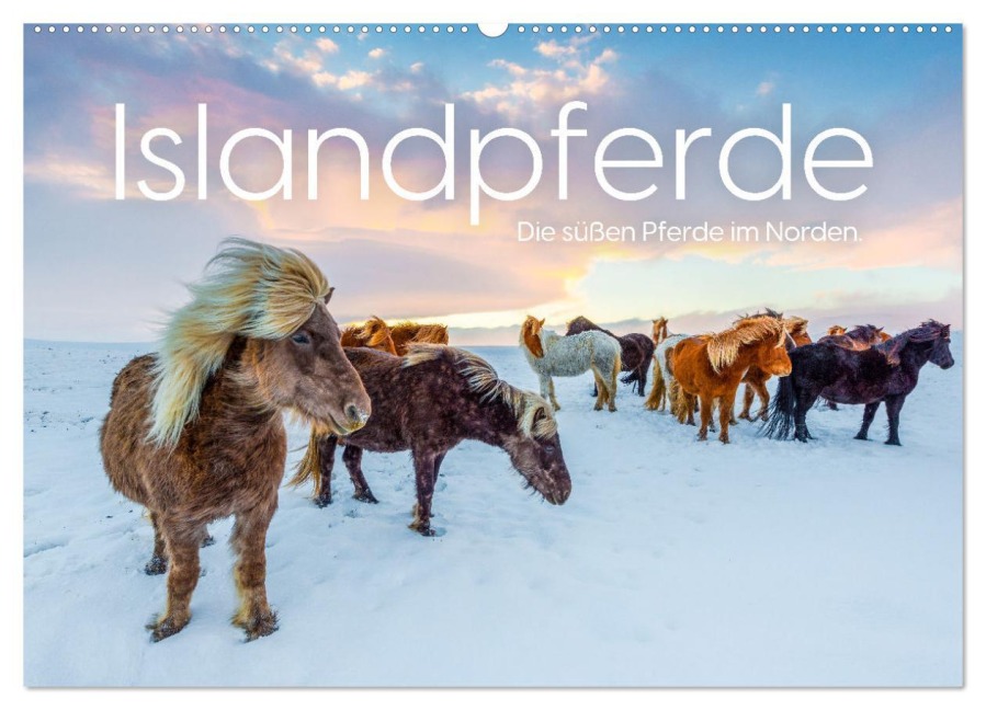 Islandpferde - Die süßen Pferde im Norden. (Wandkalender 2026 DIN A2 quer), CALVENDO Monatskalender - M. Scott