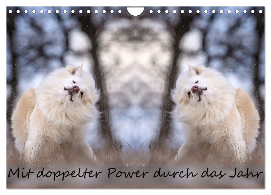 Mit doppelter Power durch das Jahr (Wandkalender 2026 DIN A4 quer), CALVENDO Monatskalender - Monika Scheurer