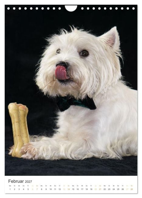 InsideView 7