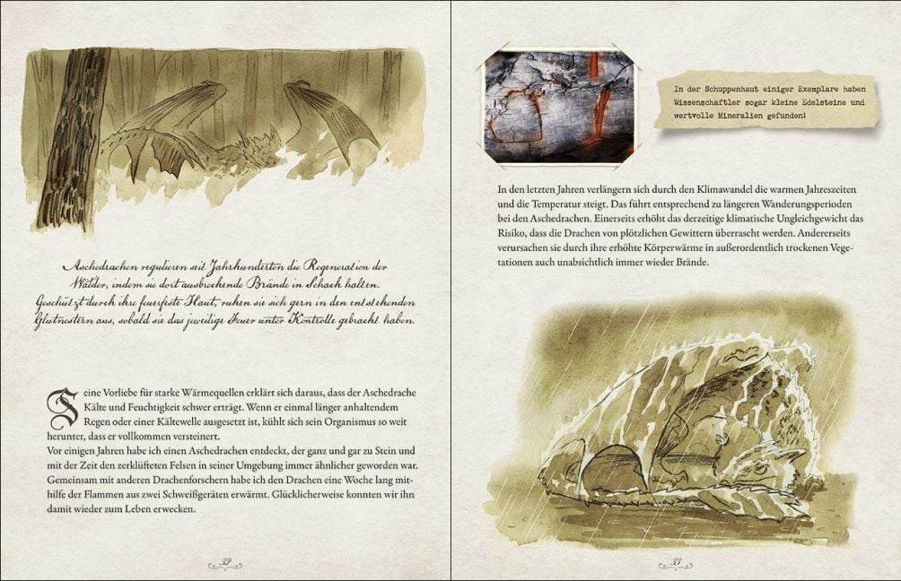 InsideView 6