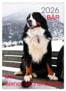 Cover-Bild zum Titel 'BÄR - Der Berner Sennenhund (Wandkalender 2026 DIN A3 hoch), CALVENDO Monatskalender' von 'Sonja Brenner'