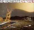Cover-Bild zum Titel 'Acetylene' von 'The Walkabouts'