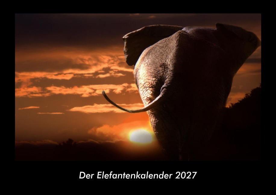 Der Elefantenkalender 2027 Fotokalender DIN A3 - Tobias Becker