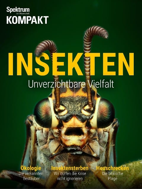 Spektrum Kompakt - Insekten - 
