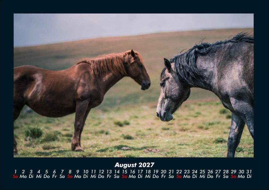 InsideView 12