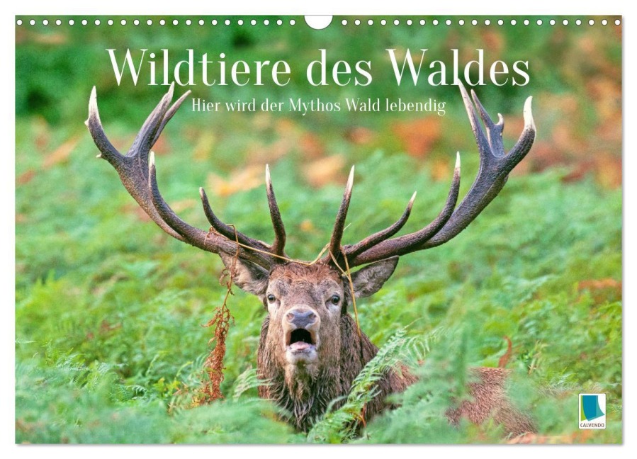 Wildtiere des Waldes: Hier wird der Mythos Wald lebendig (Wandkalender 2025 DIN A3 quer), CALVENDO Monatskalender - Calvendo Calvendo