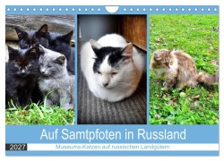 Cover-Bild zum Titel 'Auf Samtpfoten in Russland - Museums-Katzen auf russischen Landgütern (Wandkalender 2027 DIN A4 quer), CALVENDO Monatskalender' von 'Henning von Löwis of Menar'