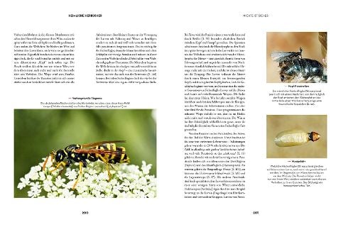 InsideView 5