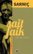 Cover-Bild zum Titel 'Sarnic' von 'Sait Faik Abasiyanik'