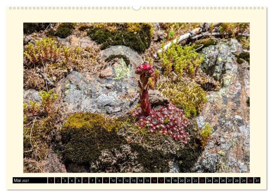 InsideView 10