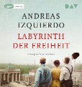 Cover-Bild zum Titel 'Labyrinth der Freiheit' von 'Andreas Izquierdo'