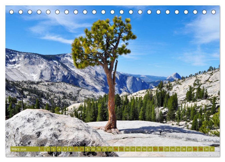 InsideView 8