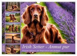 Cover-Bild zum Titel 'Irish Setter - Anmut pur (Wandkalender 2026 DIN A3 quer), CALVENDO Monatskalender' von 'Claudia Kleemann'
