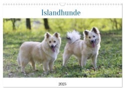 Cover-Bild zum Titel 'Islandhunde (Wandkalender 2025 DIN A3 quer), CALVENDO Monatskalender' von 'Tonja Neusinger-Wenst'