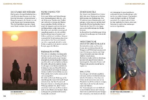InsideView 5