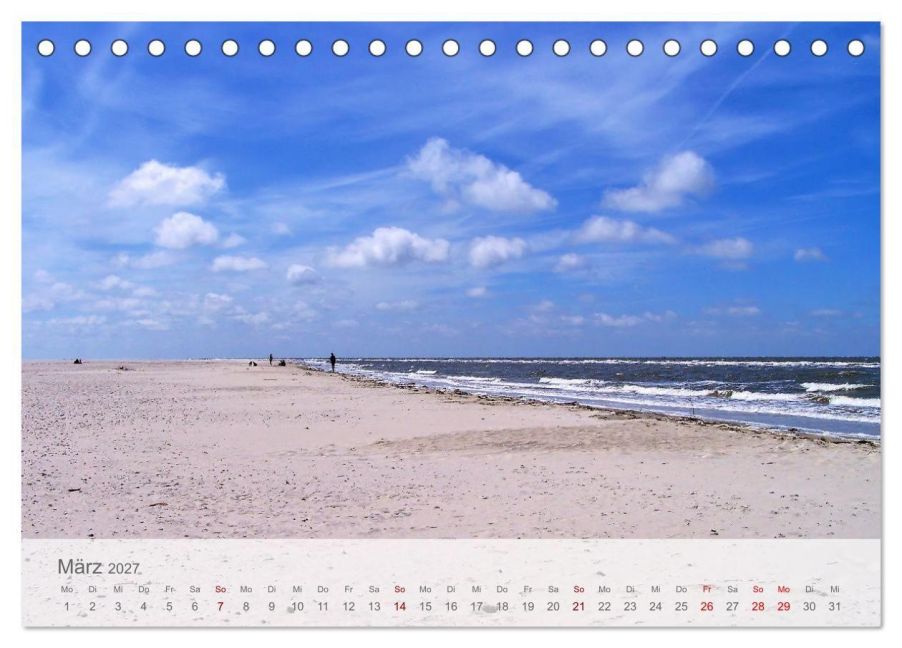 InsideView 8