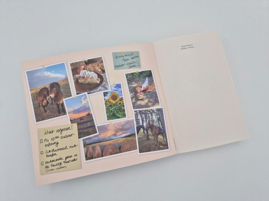 InsideView 4