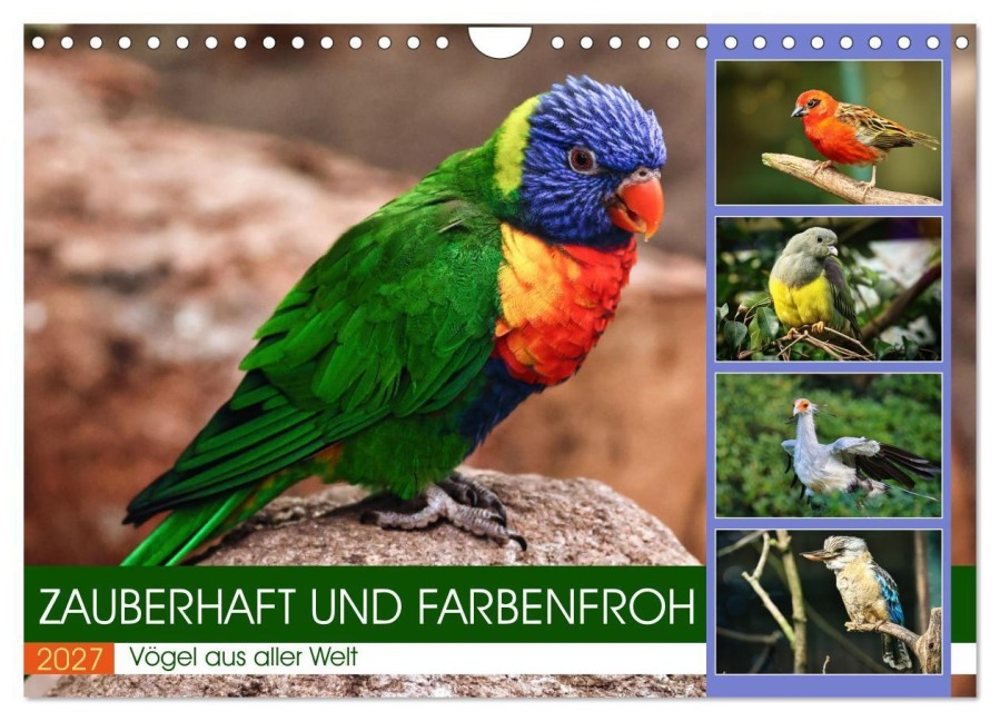 Zauberhaft und farbenfroh (Wandkalender 2027 DIN A4 quer), CALVENDO Monatskalender - Sabine Löwer