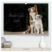 Cover-Bild zum Titel 'Border Collies 2026 (hochwertiger Premium Wandkalender 2026 DIN A2 quer), Kunstdruck in Hochglanz' von 'Christine Hemlep'