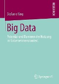 Big Data - Stefanie King