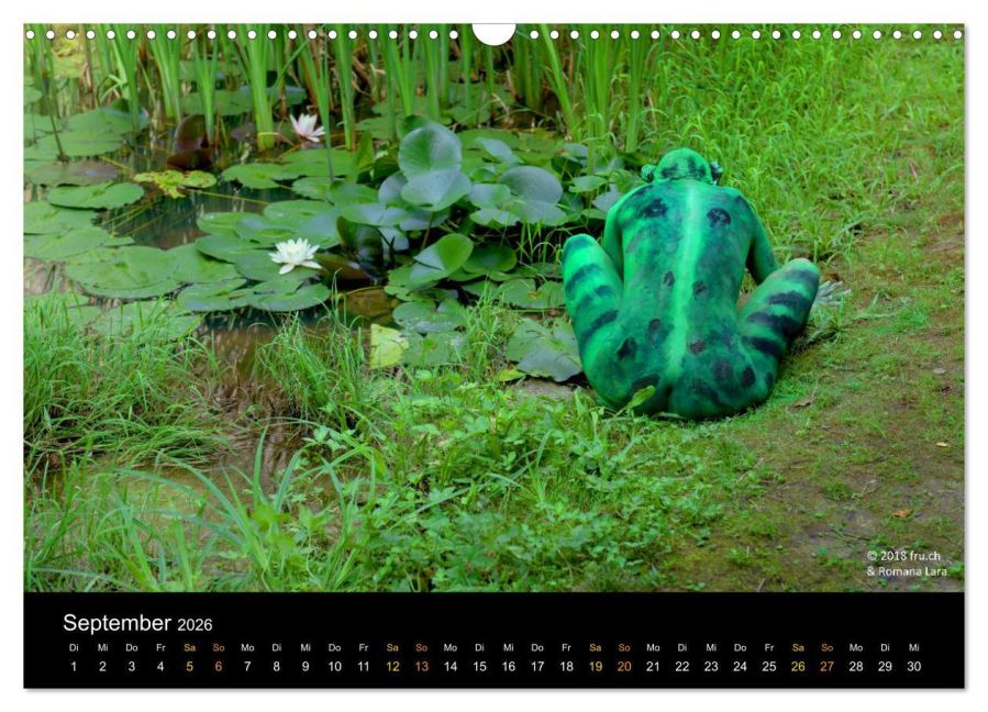 InsideView 14