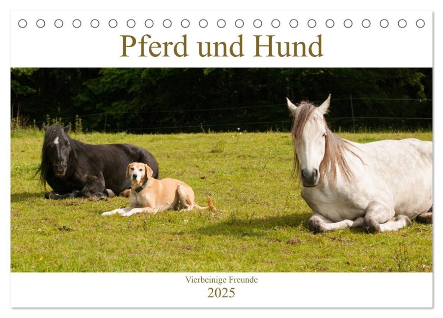 Pferd und Hund - Vierbeinige Freunde (Tischkalender 2025 DIN A5 quer), CALVENDO Monatskalender - Meike Bölts