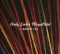 Cover-Bild zum Titel 'A Moment For...' von 'Andy/Megaoctet Emler'