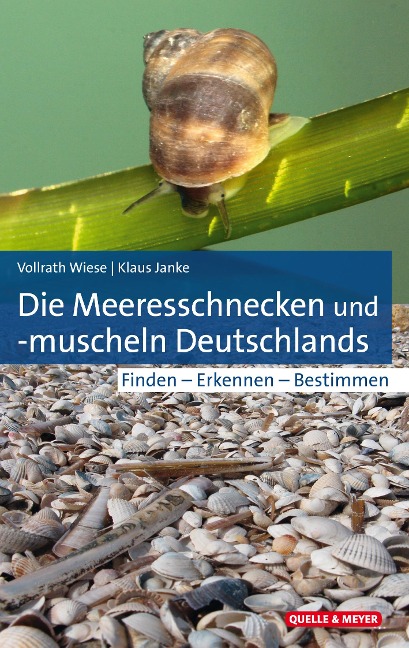 Die Meeresschnecken und -muscheln Deutschlands - Vollrath Wiese, Klaus Janke