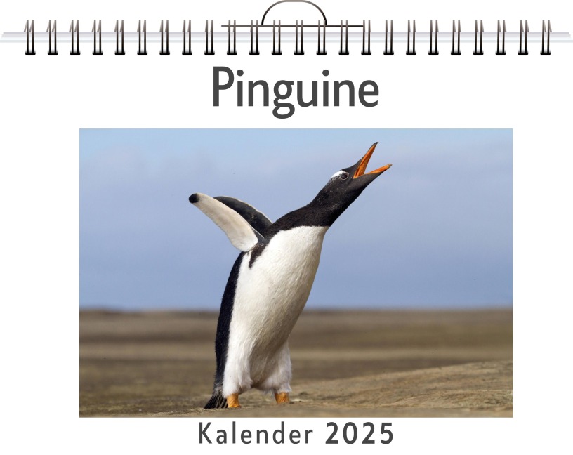 Pinguine - (Wandkalender 2025, Kalender DIN A4 quer, Monatskalender im Querformat mit Kalendarium, das perfekte Geschenk) - Anna Meyer