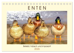 Enten. Beliebt, hübsch und imposant (Tischkalender 2026 DIN A5 quer), CALVENDO Monatskalender - Rose Hurley