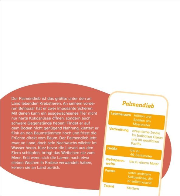 InsideView 12