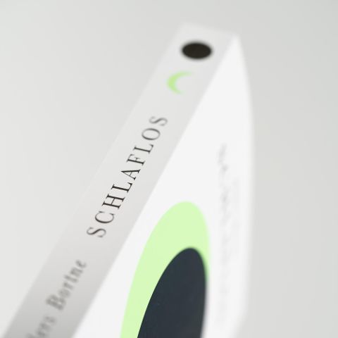 InsideView 2