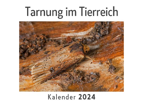 Tarnung im Tierreich (Wandkalender 2024, Kalender DIN A4 quer, Monatskalender im Querformat mit Kalendarium, Das perfekte Geschenk) - Anna Müller