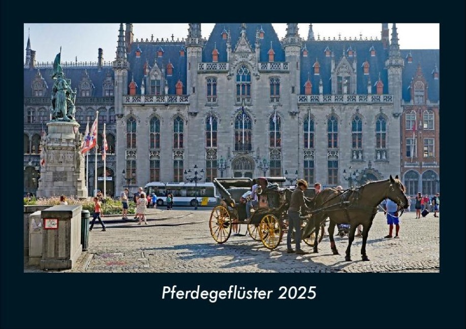 Pferdegeflüster 2025 Fotokalender DIN A4 - Tobias Becker