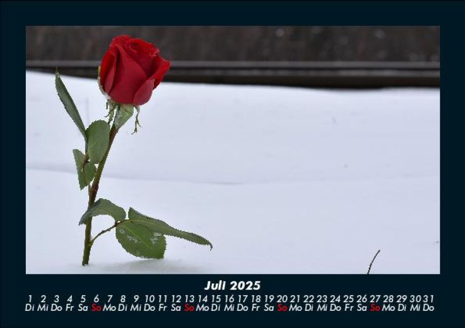 InsideView 11