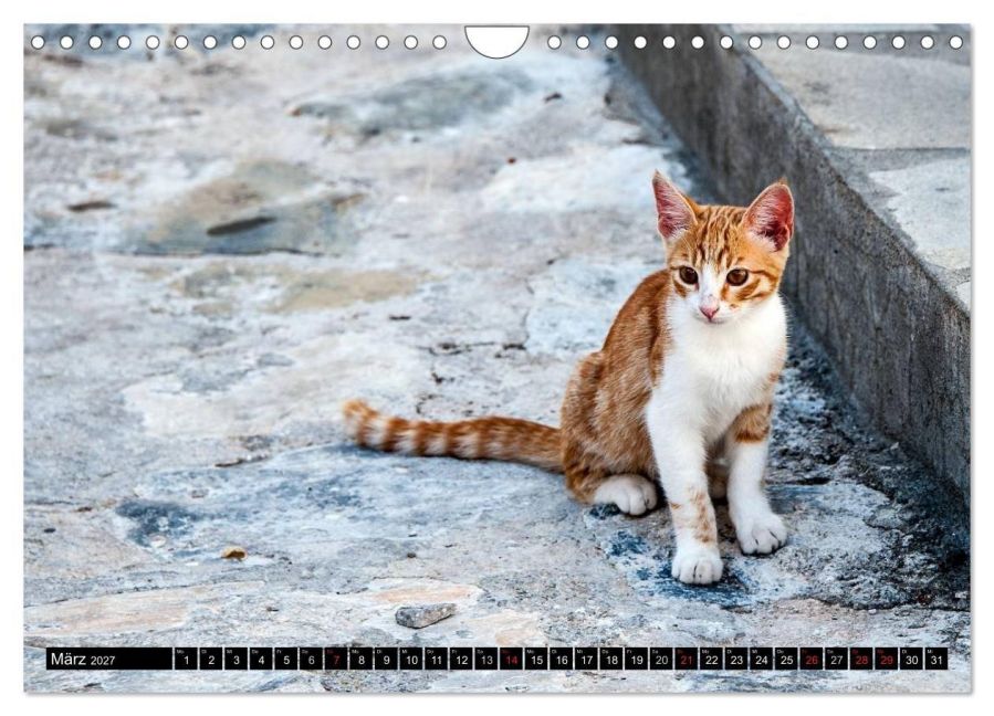 InsideView 8