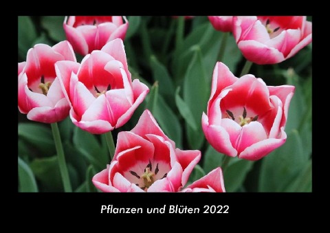 Pflanzen und Blüten 2022 Fotokalender DIN A3 - Tobias Becker
