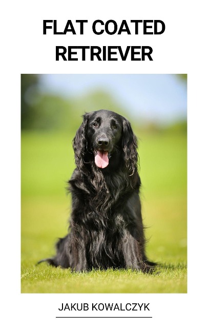 Flat Coated Retriever - Jakub Kowalczyk